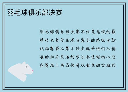 羽毛球俱乐部决赛